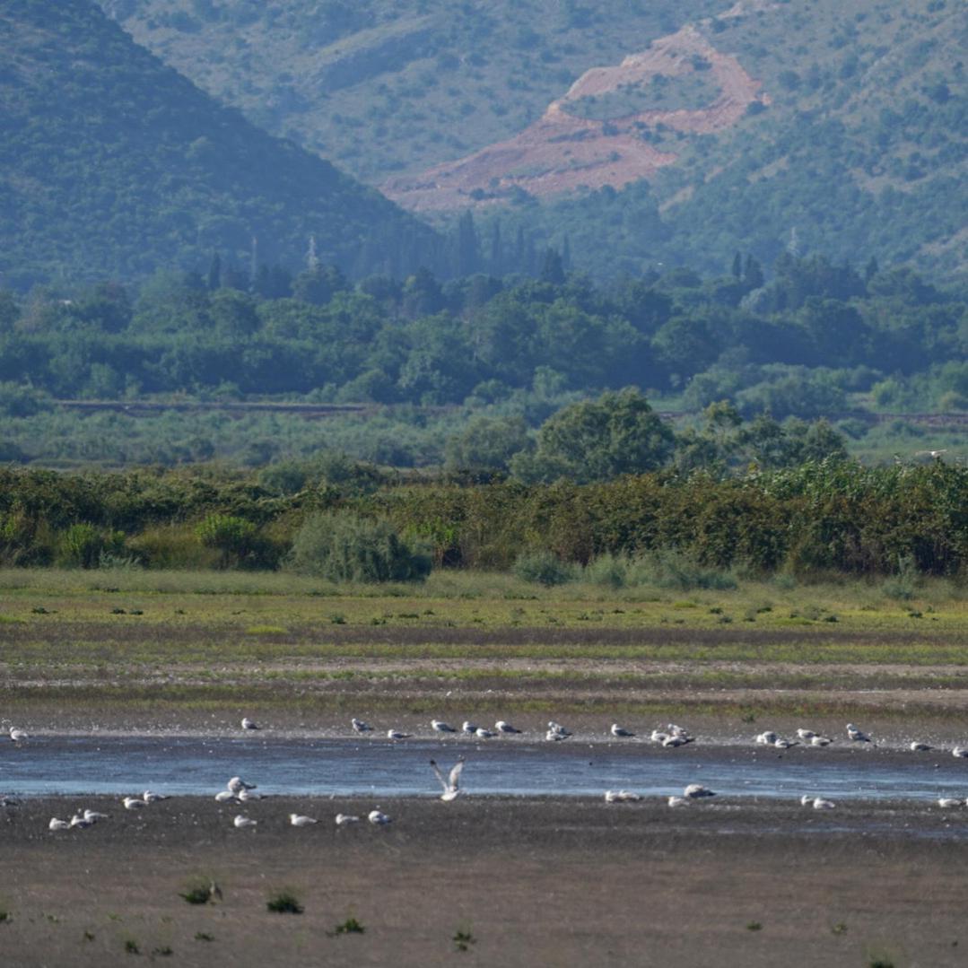 Вилла Salinas Nest - Ulcinj Stoj Ada Bojana Экстерьер фото